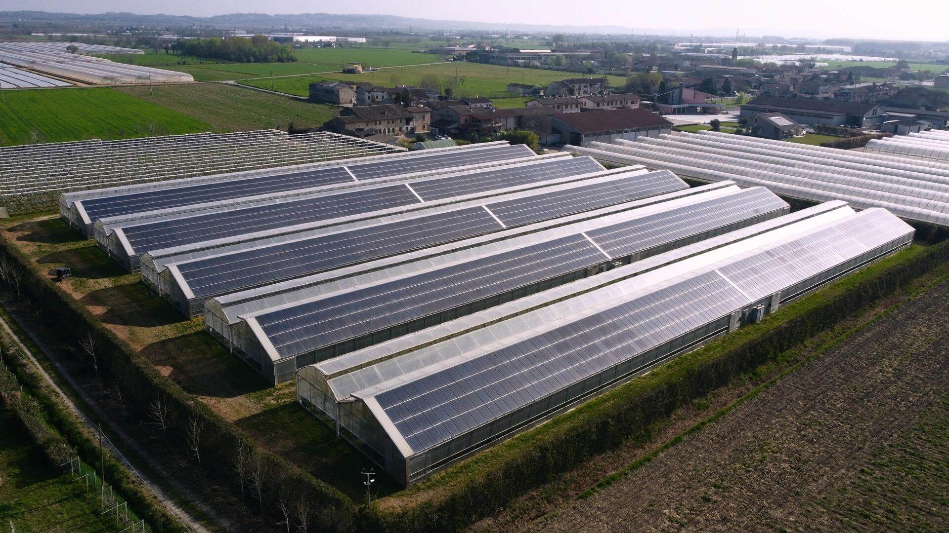 Solar Solutions for Greenhouse