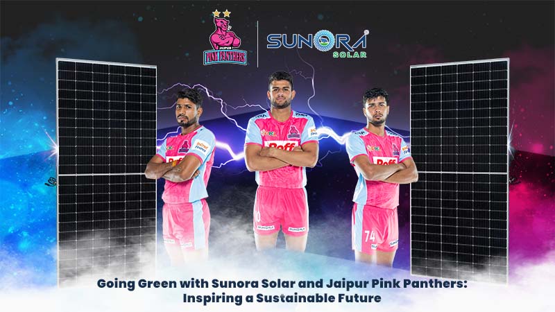 Sunora Solar and Jaipur Pink Panthers